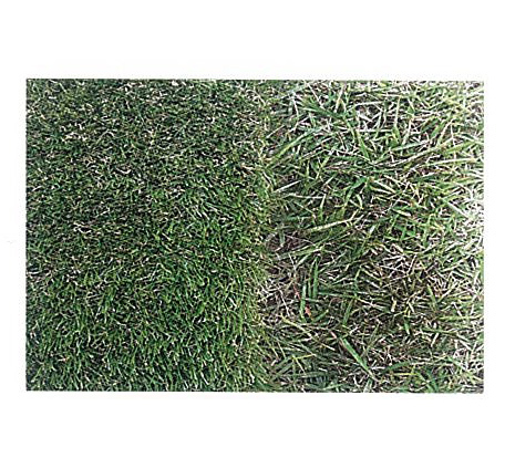 조경용 인조잔디 (모노필이중구조 인조잔디 / 천연잔디)